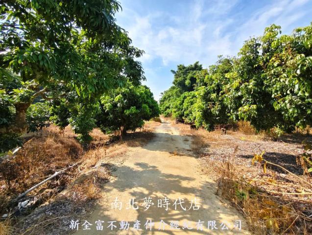 台南農地-1