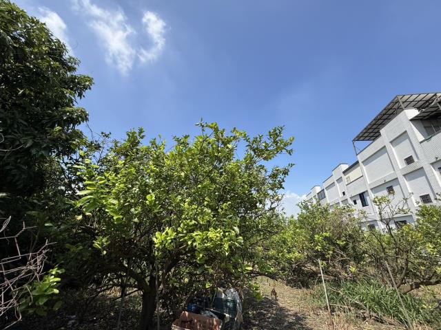 屏東九如建地-3