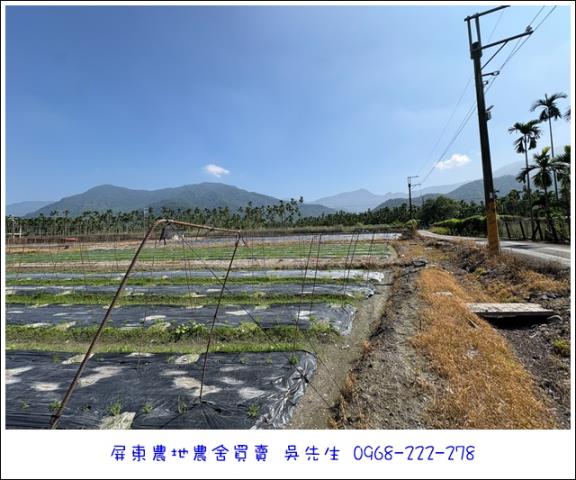 高樹農地-6