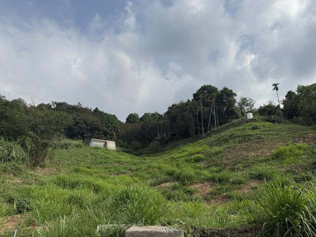 東勢農地-5