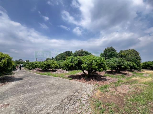 大樹農地-7