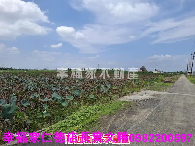 台南白河農地-6