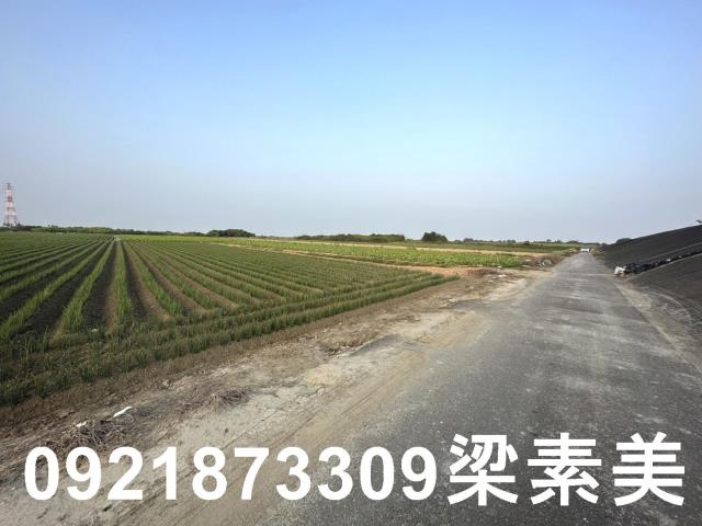 台南安南農地-2