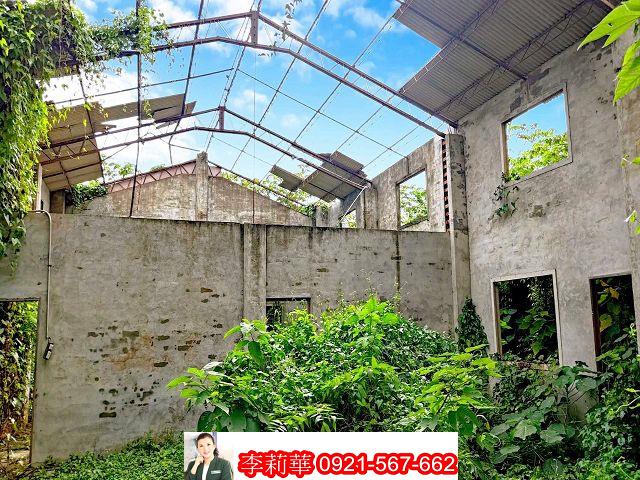 善化農地-5