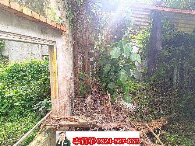 善化農地-8