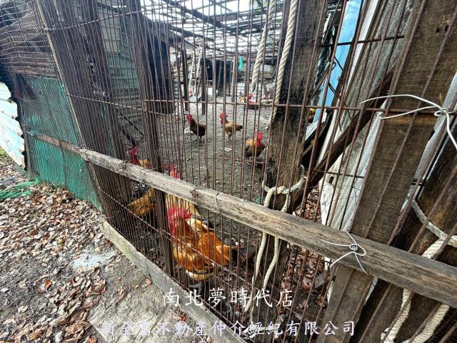 安南農地-3