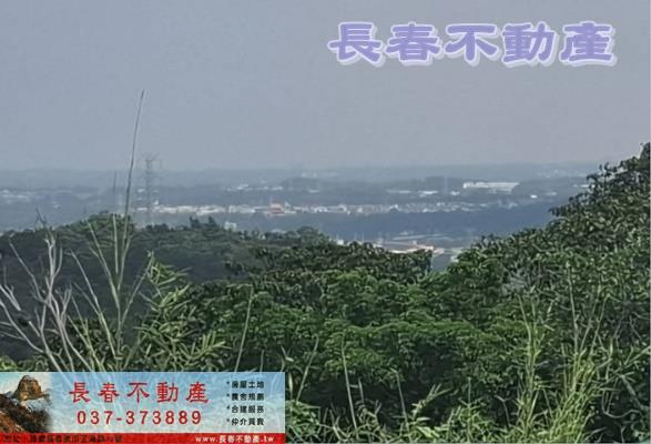 頭份農地-1