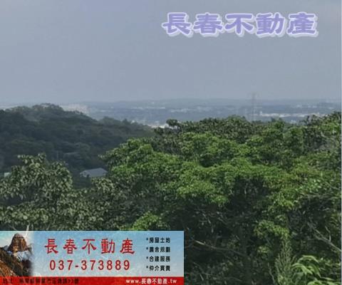 頭份農地-2