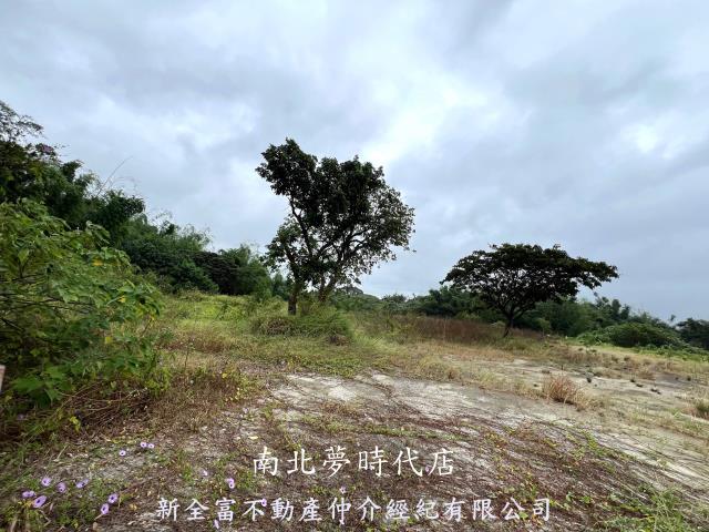 台南農地-5