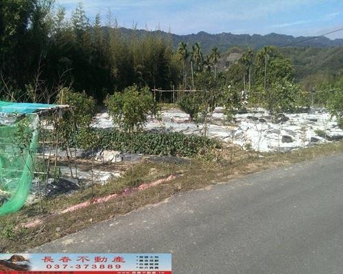 苗栗銅鑼農地-2