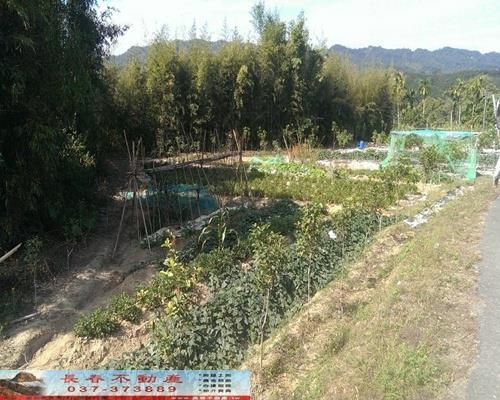 苗栗銅鑼農地-3