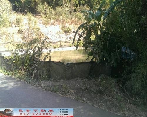 苗栗銅鑼農地-5