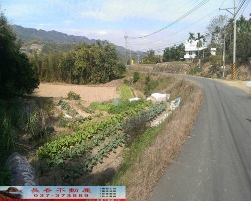 苗栗銅鑼農地-6